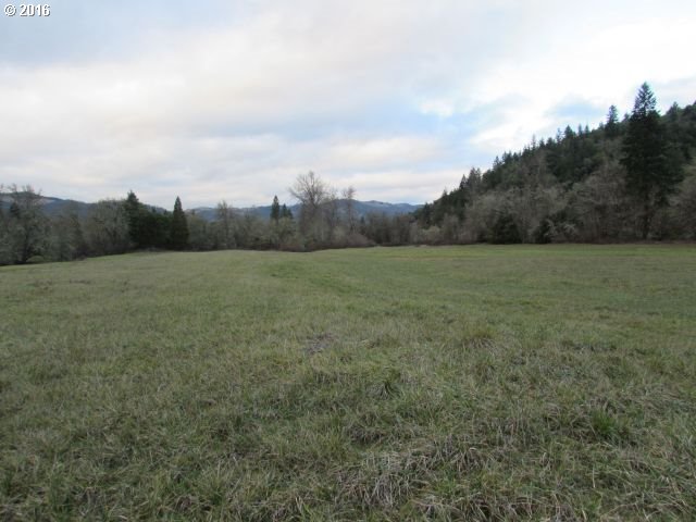 4359 Canyonville-Riddle Road Riddle, OR 97469 - Photo 6 of 32