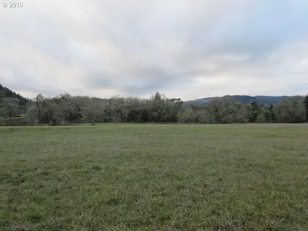 a view of an outdoor space and a yard