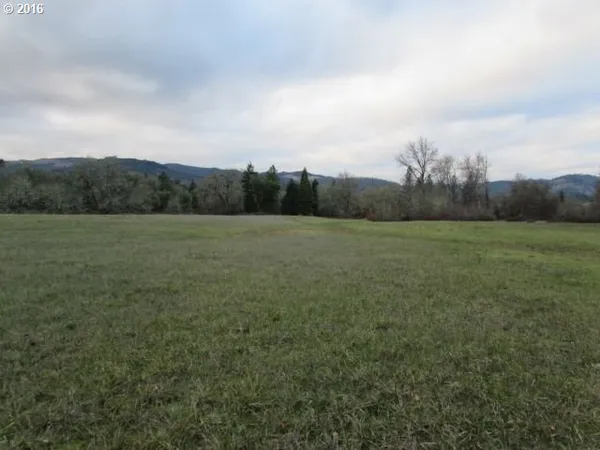 a view of an outdoor space and a yard