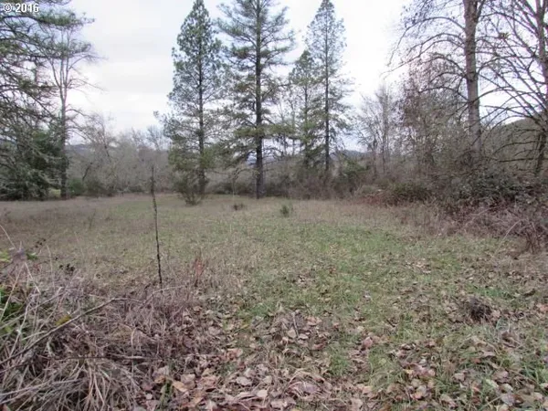 a view of a big yard with trees
