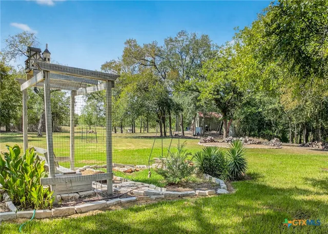 a view of a tree in a yard
