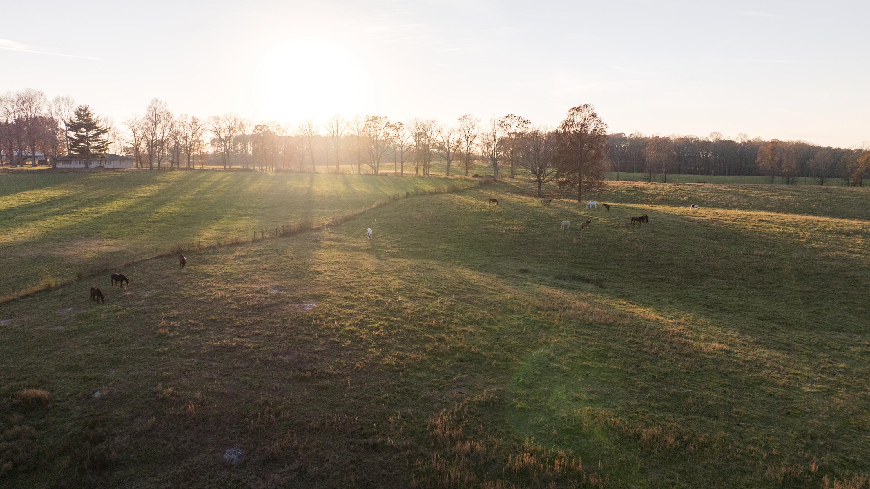 136 Golf Course Road Menlo, GA 30731 - Photo 12 of 43 CLP - 13