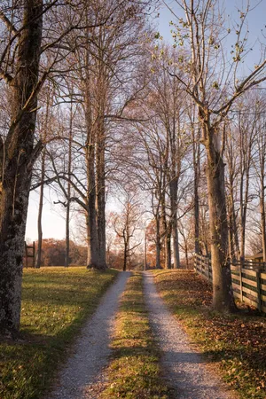 $1,100,000 | 136 Golf Course Road, Menlo, GA 30731