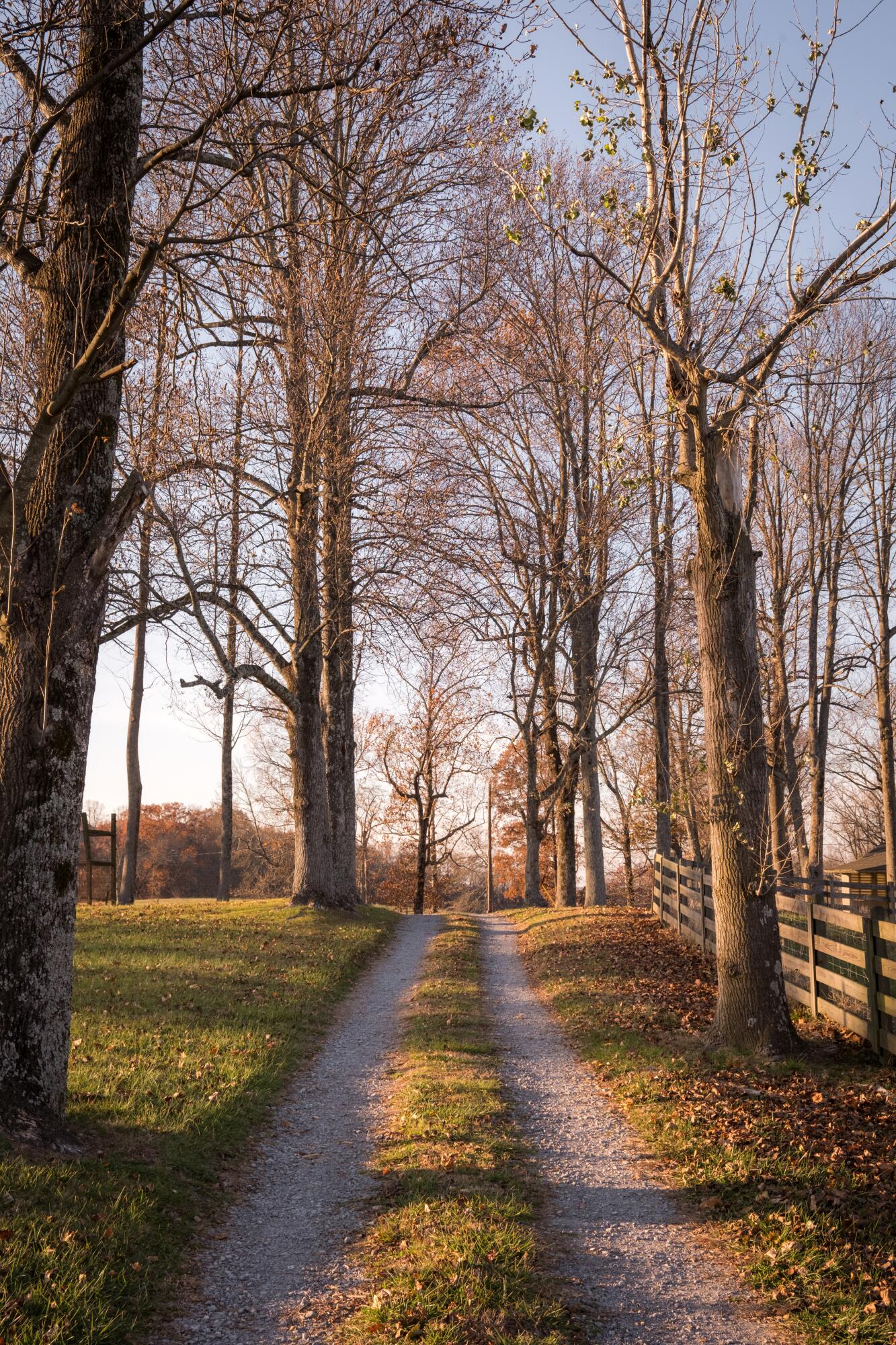 136 Golf Course Road Menlo, GA 30731 - Photo 17 of 43 CLP - 18