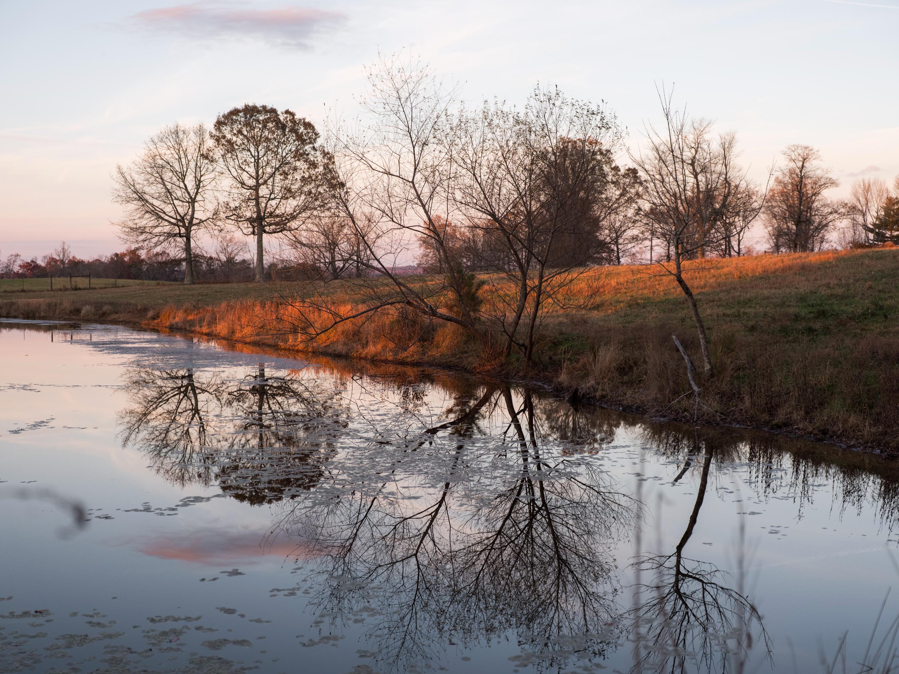 136 Golf Course Road Menlo, GA 30731 - Photo 19 of 43 CLP - 20