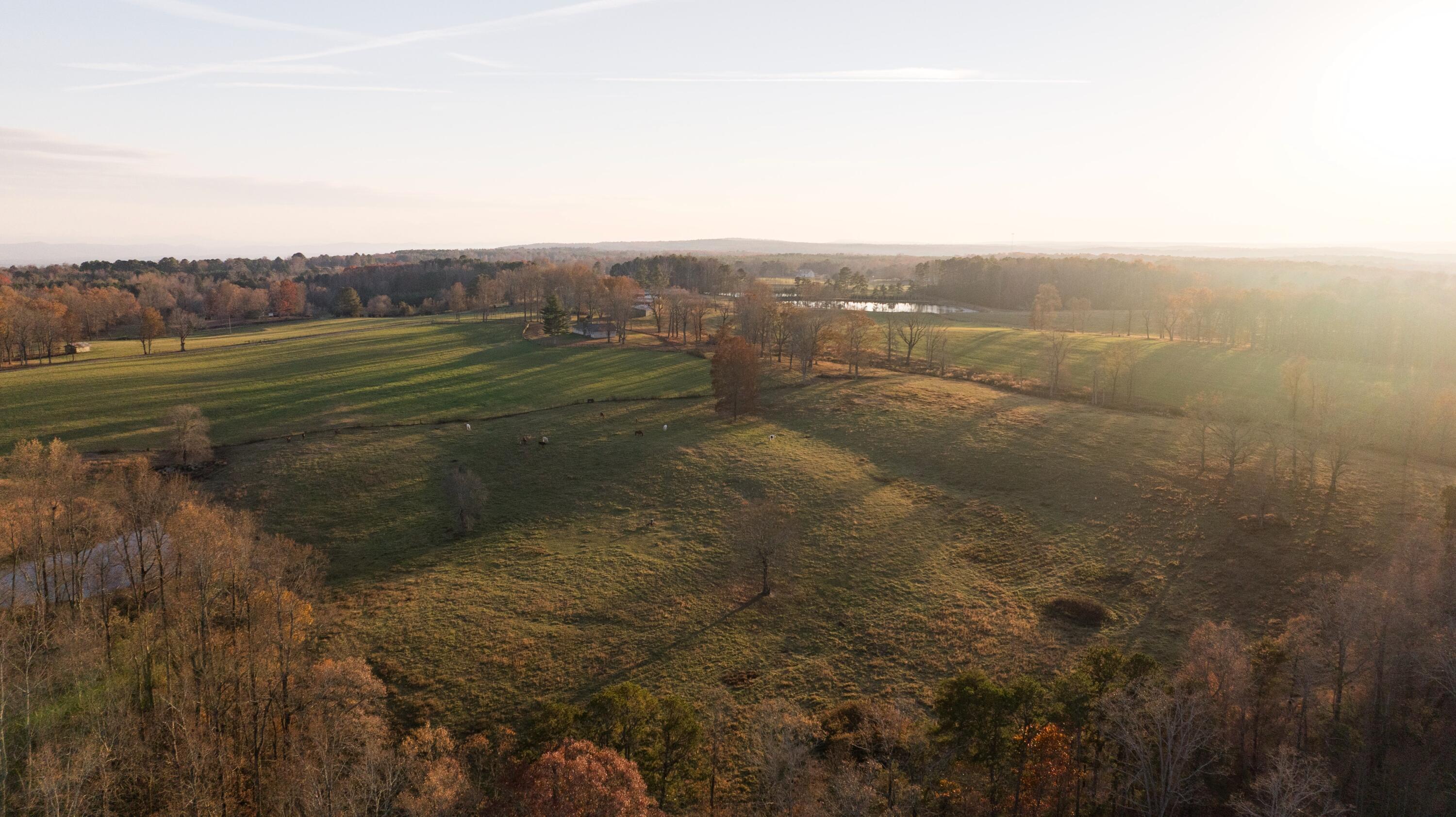 136 Golf Course Road Menlo, GA 30731 - Photo 21 of 43 CLP - 22