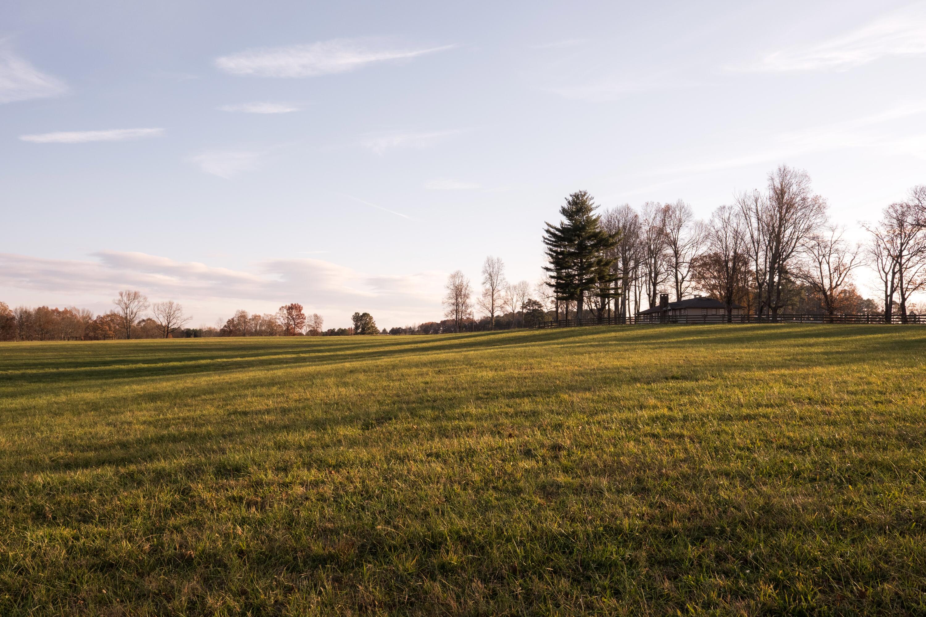 136 Golf Course Road Menlo, GA 30731 - Photo 26 of 43 CLP - 27