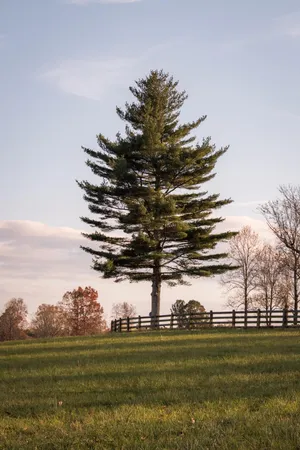 $1,100,000 | 136 Golf Course Road, Menlo, GA 30731