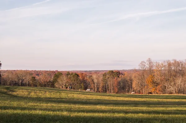 $1,100,000 | 136 Golf Course Road, Menlo, GA 30731