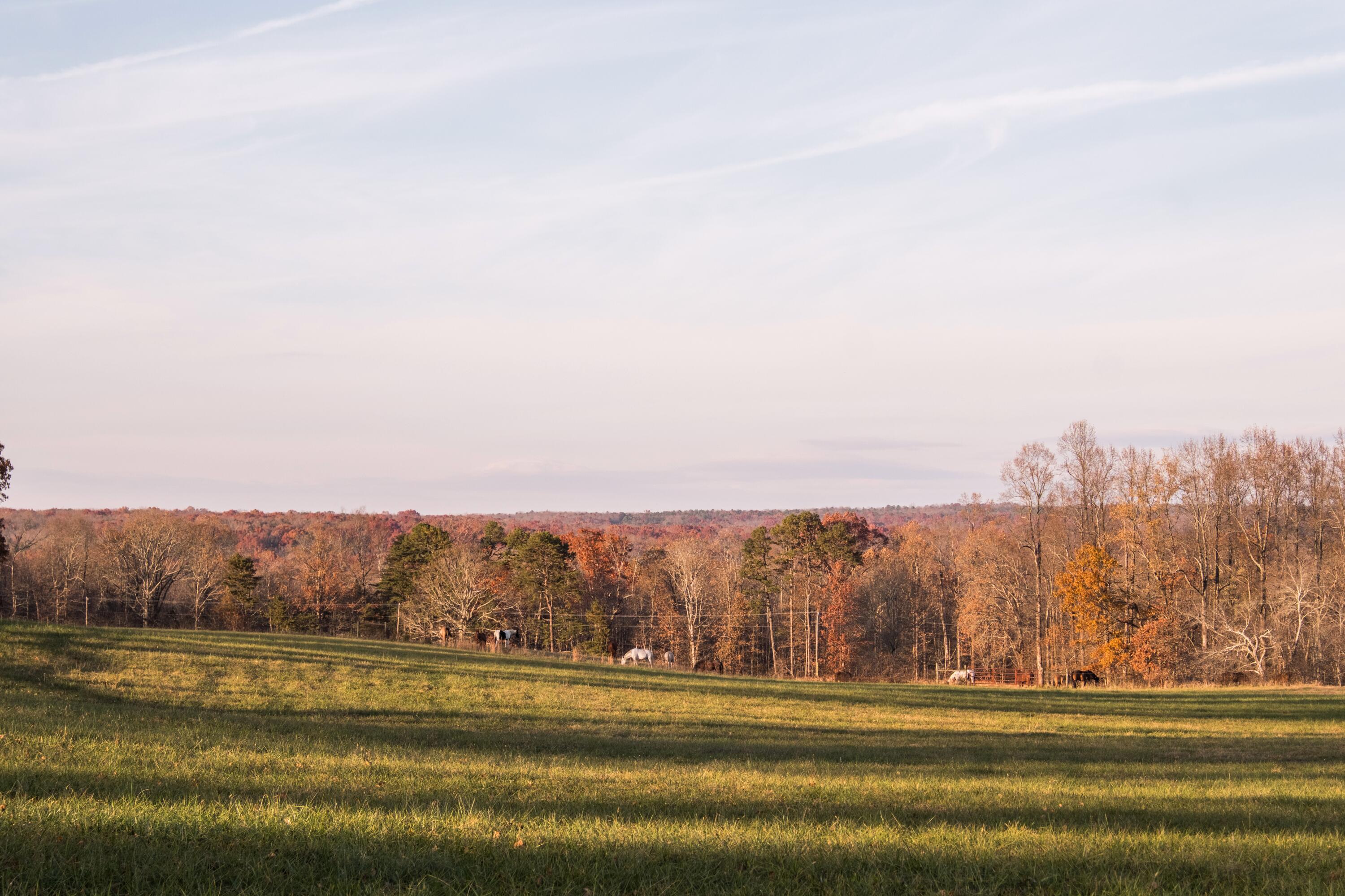 136 Golf Course Road Menlo, GA 30731 - Photo 33 of 43 CLP - 37
