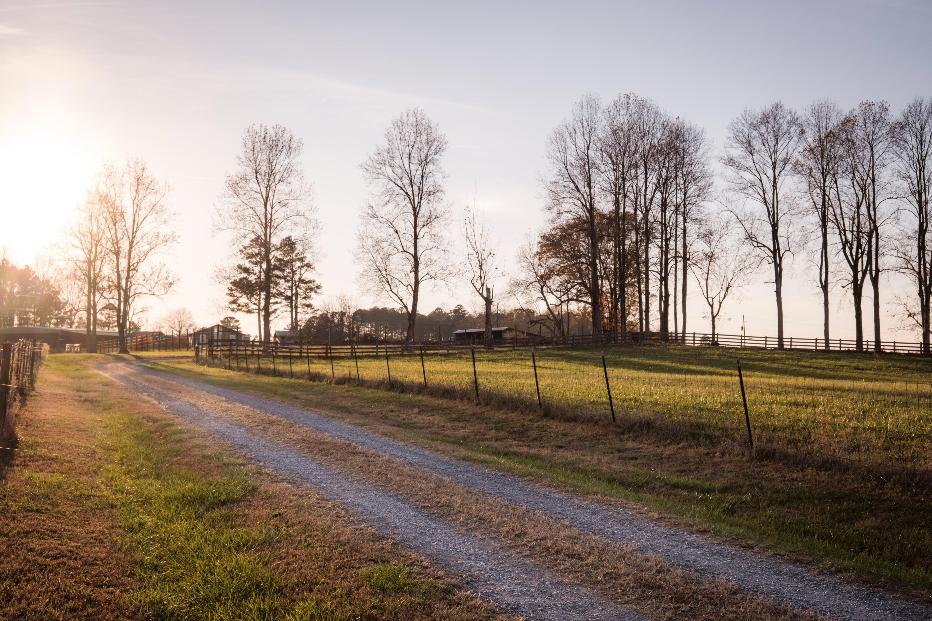 136 Golf Course Road Menlo, GA 30731 - Photo 41 of 43 CLP - 46