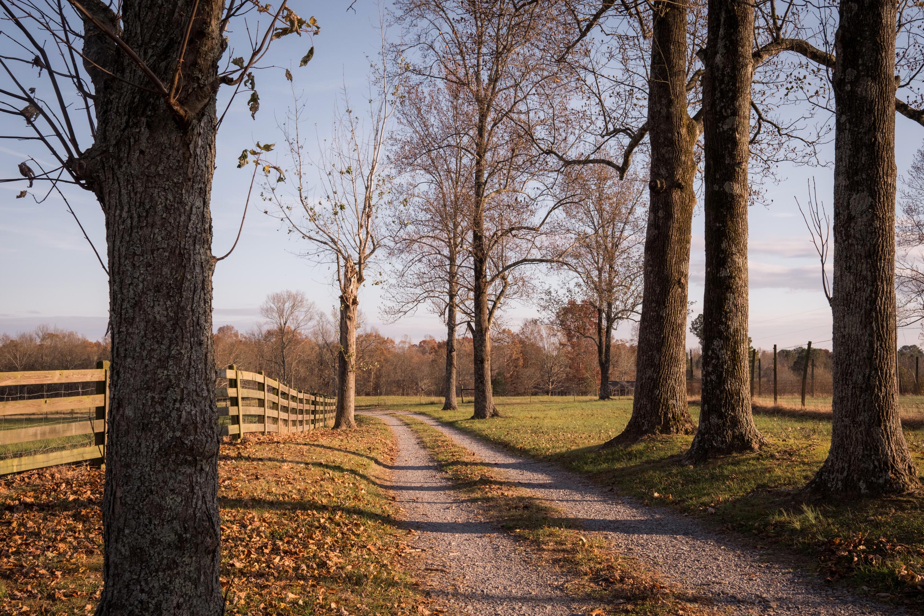 136 Golf Course Road Menlo, GA 30731 - Photo 6 of 43 CLP - 6