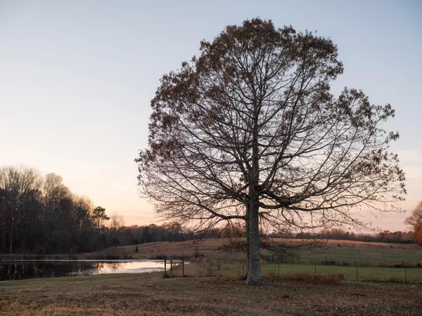 $1,100,000 | 136 Golf Course Road, Menlo, GA 30731