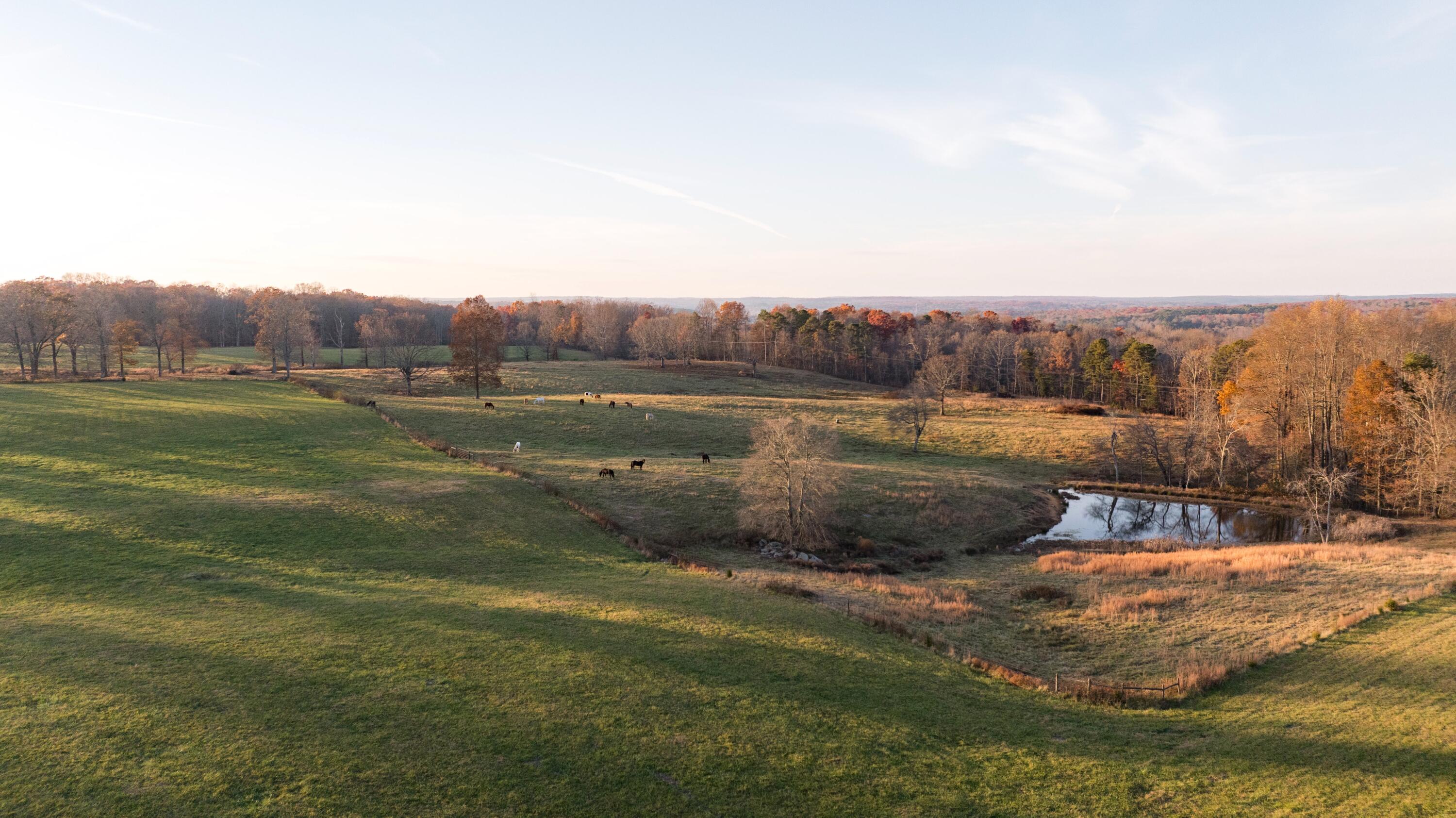 136 Golf Course Road Menlo, GA 30731 - Photo 9 of 43 CLP - 9