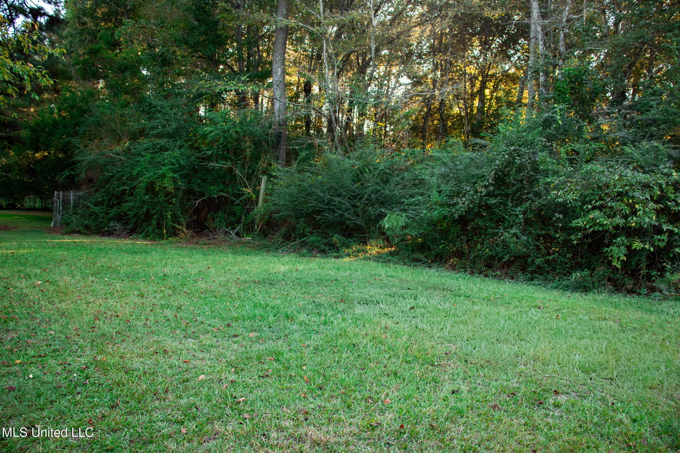 2710 Old Amy Road Laurel, MS 39440 - Photo 21 of 21 Backyard