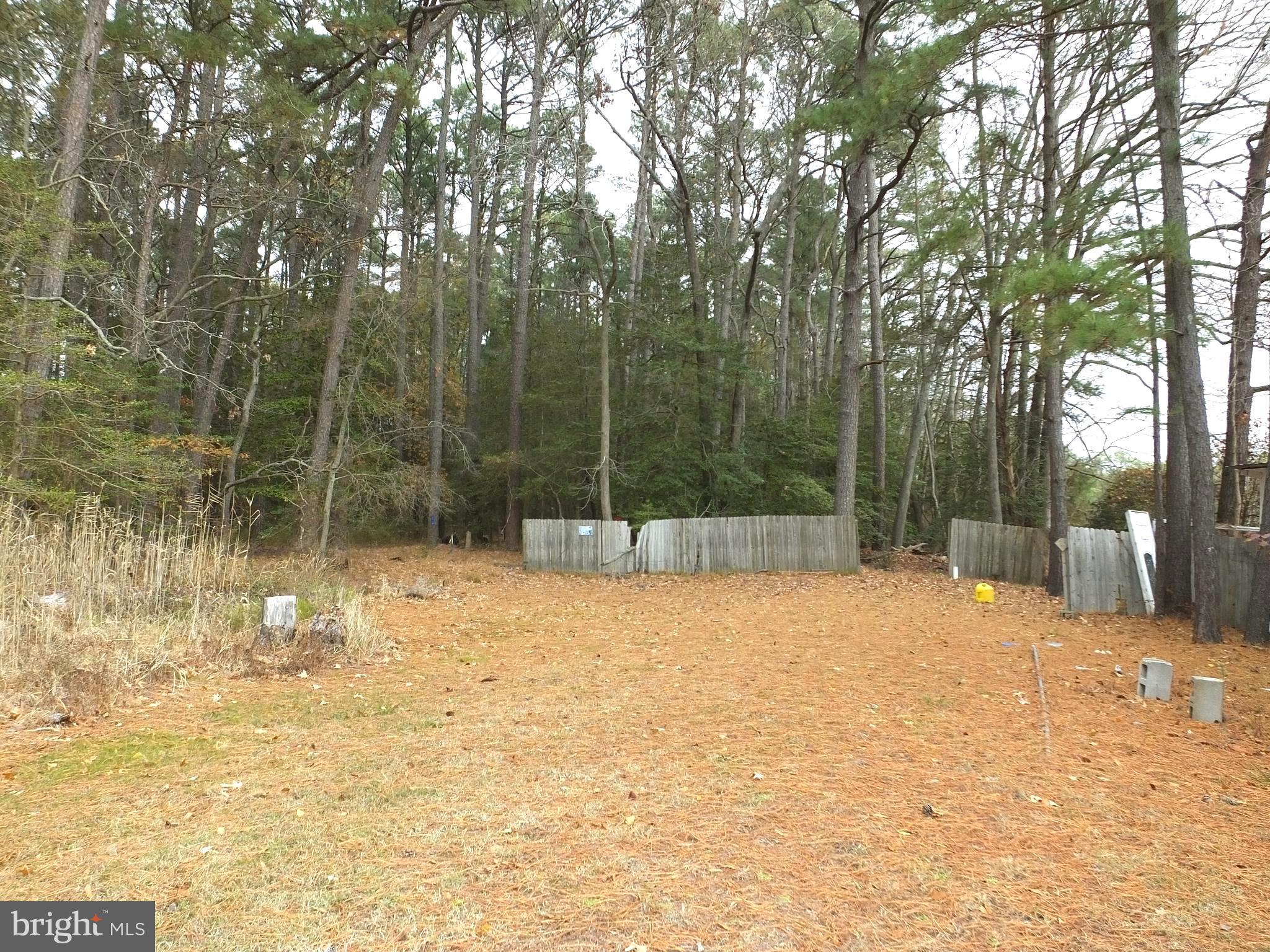 2530 Toddville Road Toddville, MD 21672 - Photo 7 of 24 a swimming pool with trees in the background
