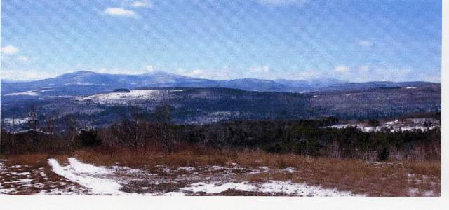 0 Dapice Lane Rensselaerville, NY 12147 - Photo 1 of 1 Photo 1