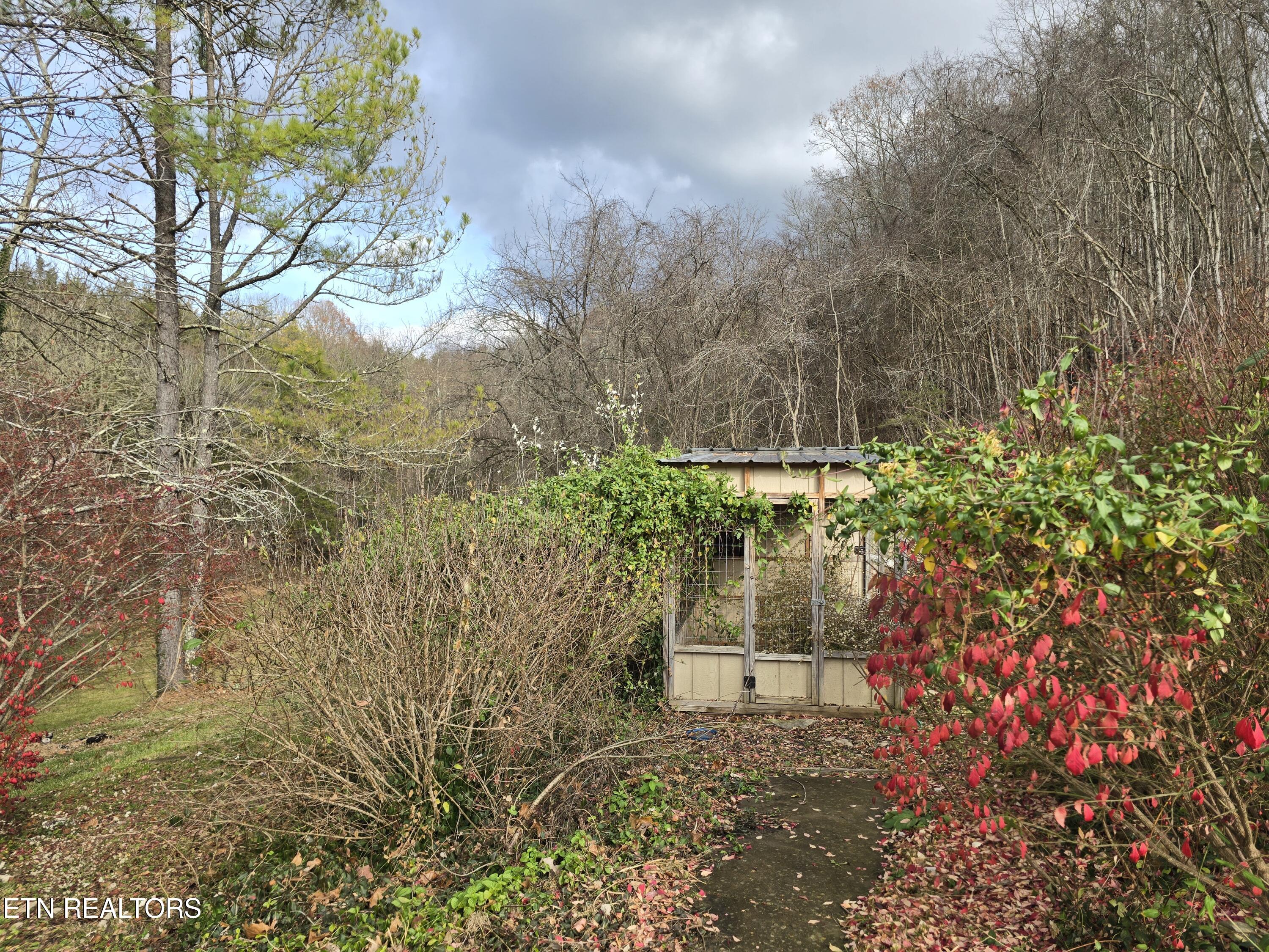 197 Wolfe Road Sneedville, TN 37869 - Photo 41 of 60 20251119_145008