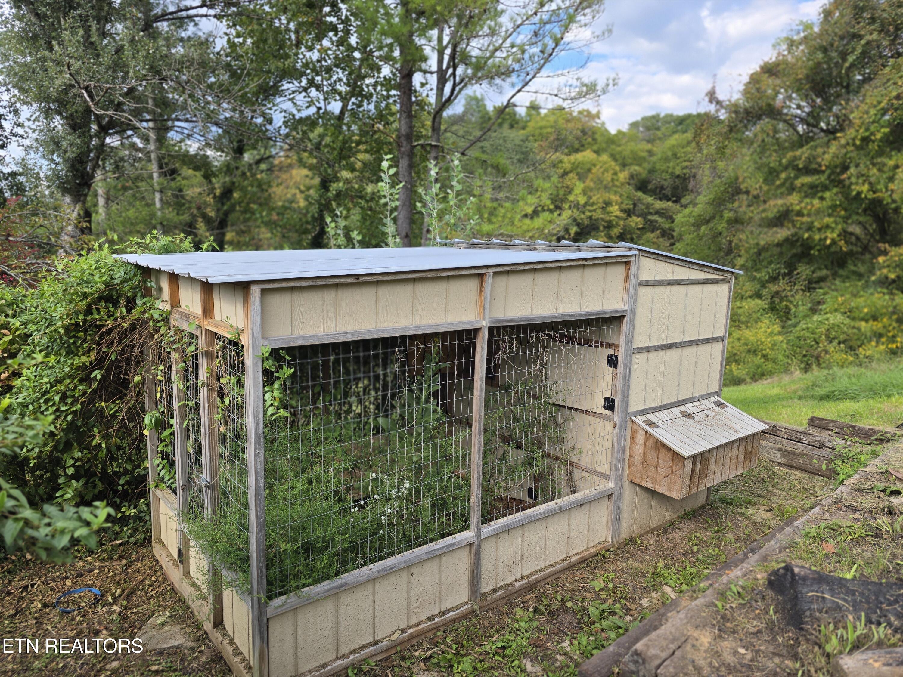 197 Wolfe Road Sneedville, TN 37869 - Photo 42 of 60 20250914_164537 - Copy - Copy