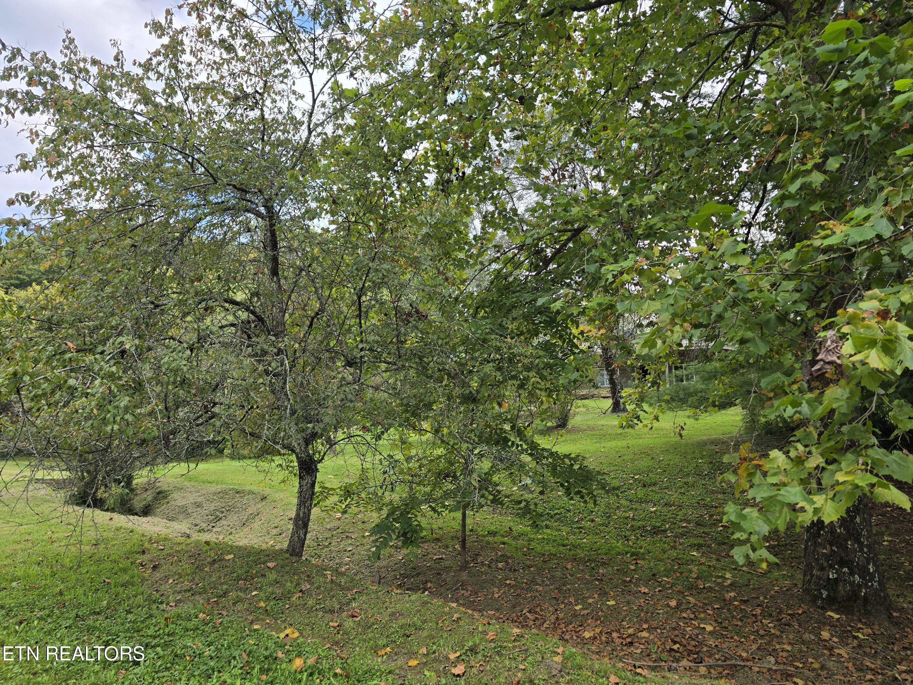 197 Wolfe Road Sneedville, TN 37869 - Photo 48 of 60 20250914_162902