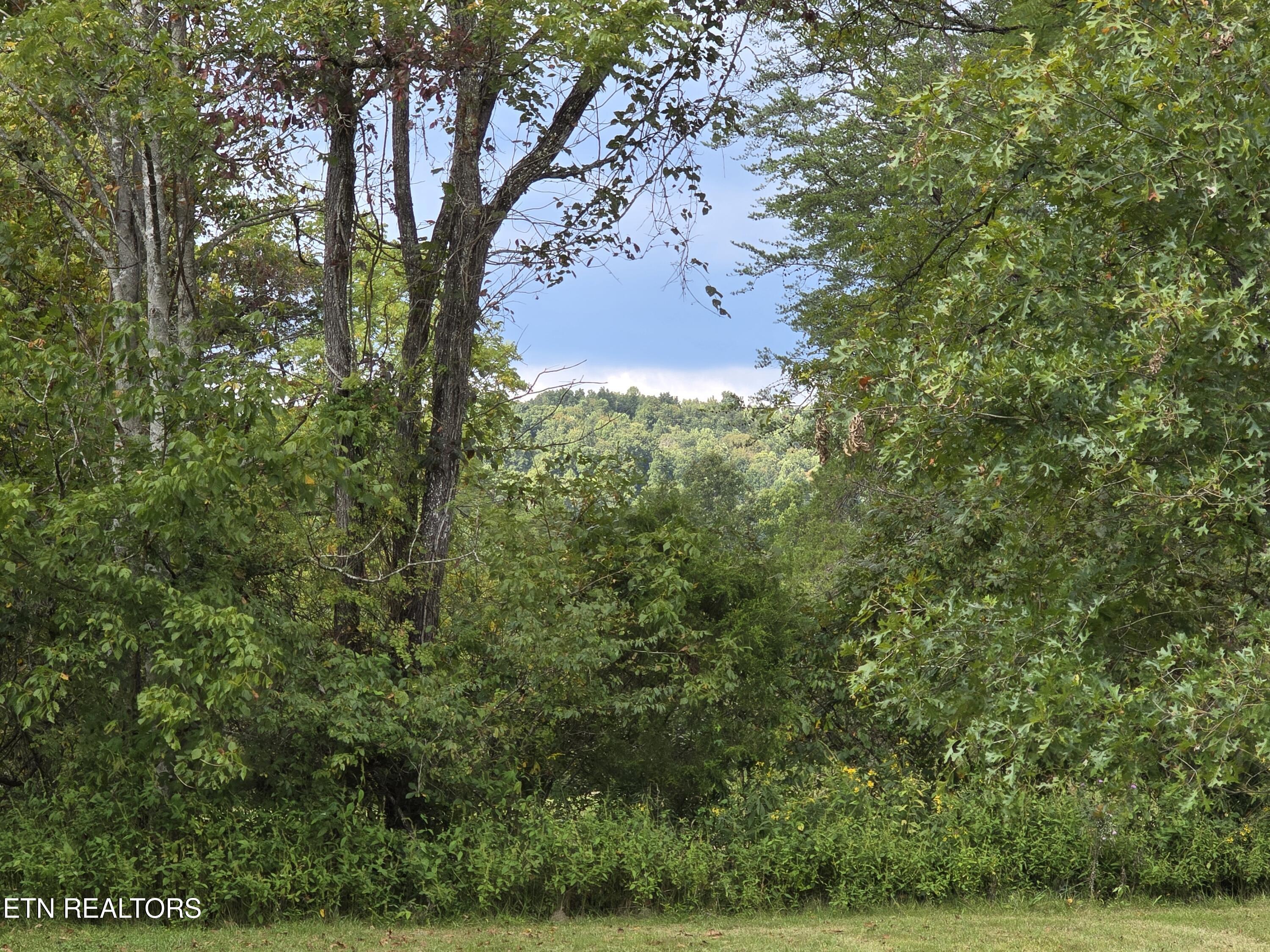 197 Wolfe Road Sneedville, TN 37869 - Photo 50 of 60 20250914_162759