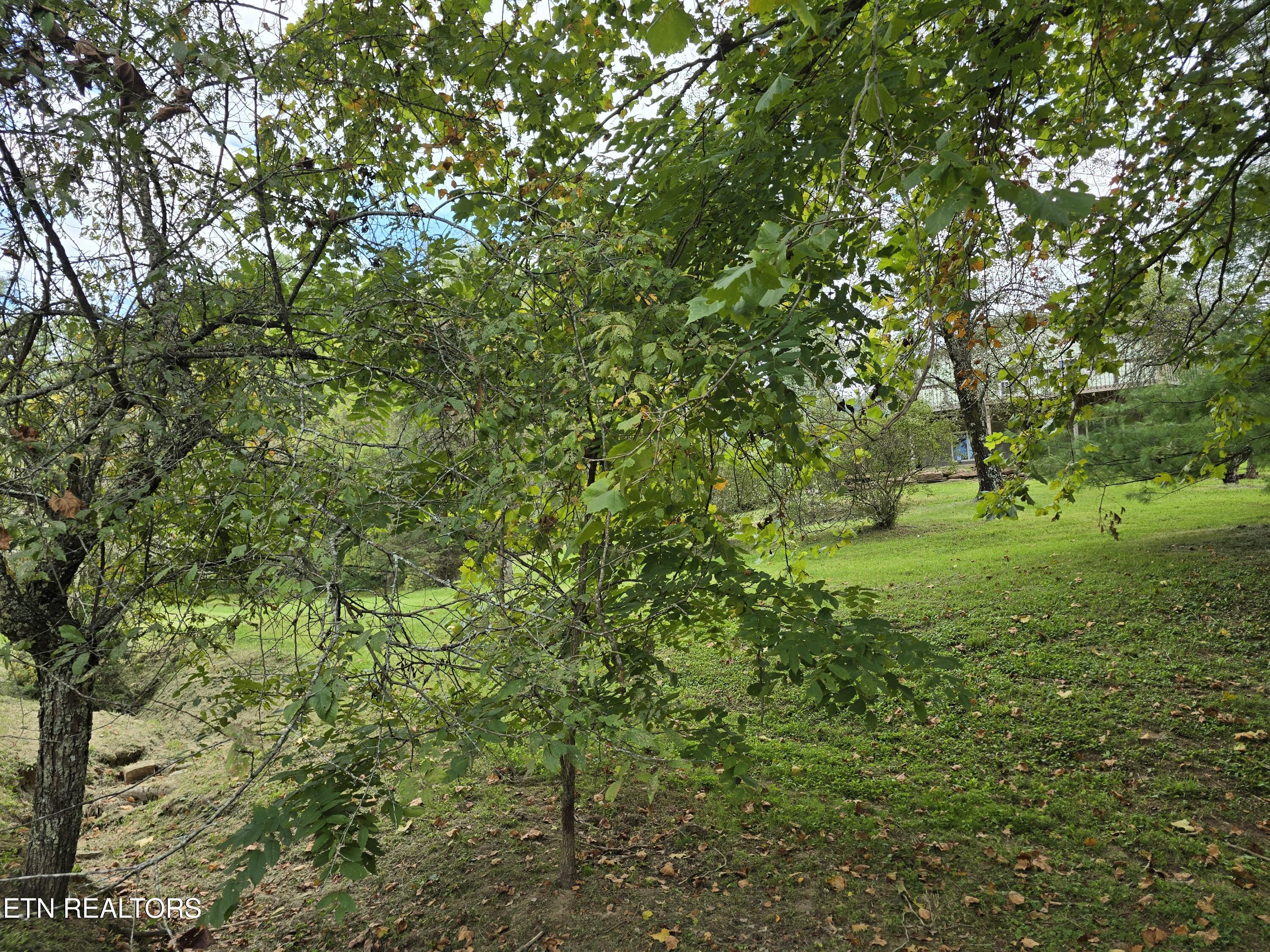 197 Wolfe Road Sneedville, TN 37869 - Photo 59 of 60 20250914_162919