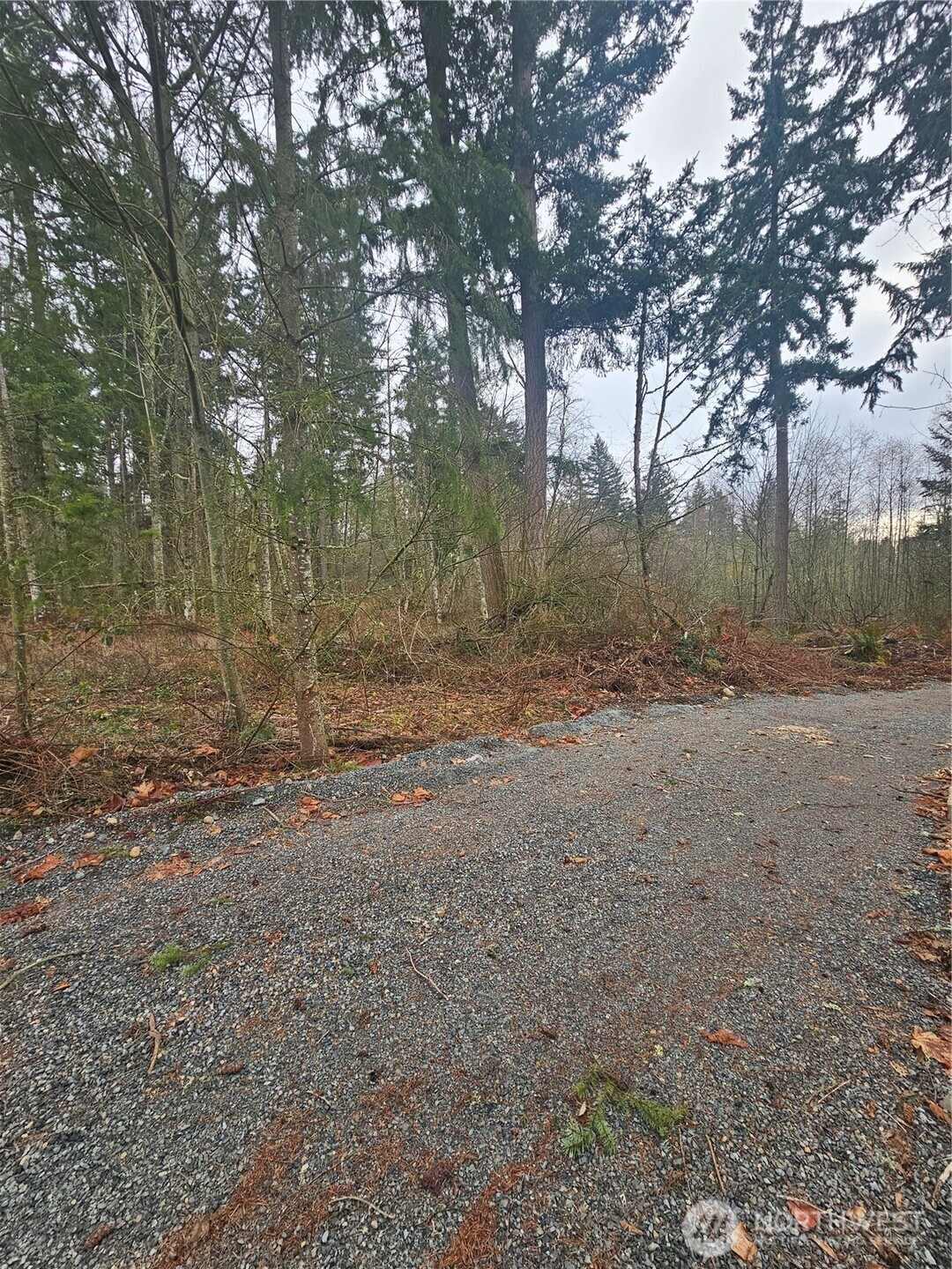 a view of dirt yard with trees