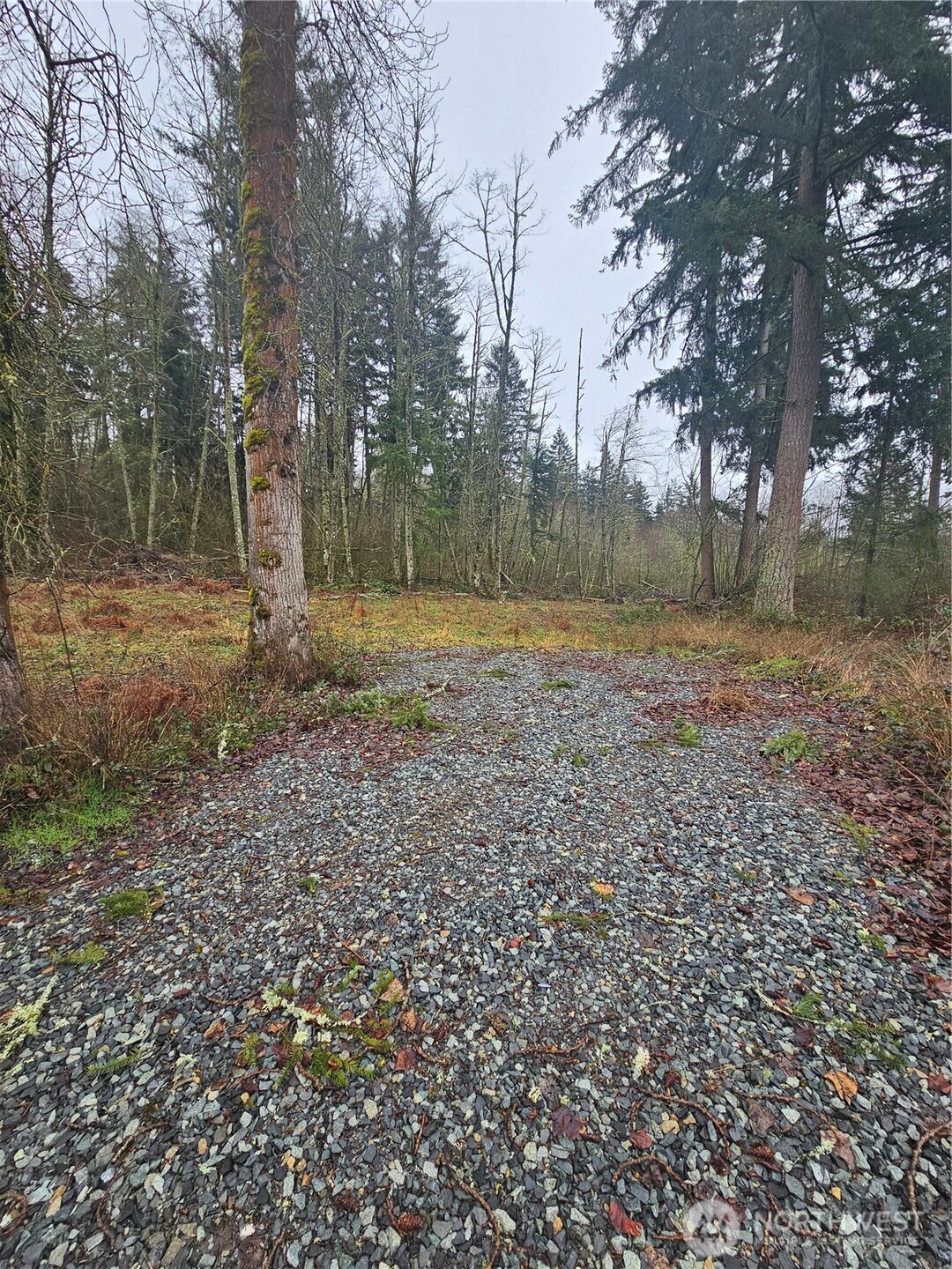 25933 96th Avenue East Graham, WA 98338 - Photo 1 of 7 a view of outdoor space with trees