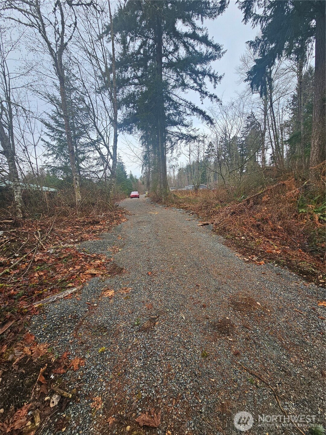 25933 96th Avenue East Graham, WA 98338 - Photo 2 of 7 a view of dirt yard with a large tree
