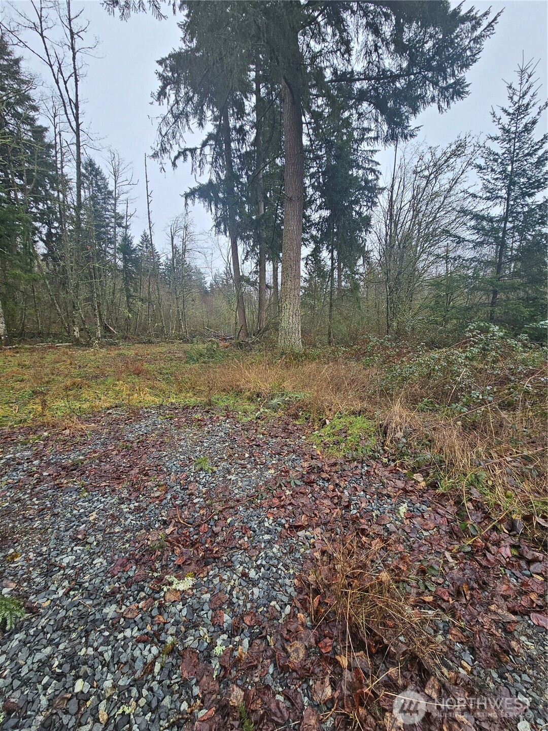 25933 96th Avenue East Graham, WA 98338 - Photo 3 of 7 a view of outdoor space and yard