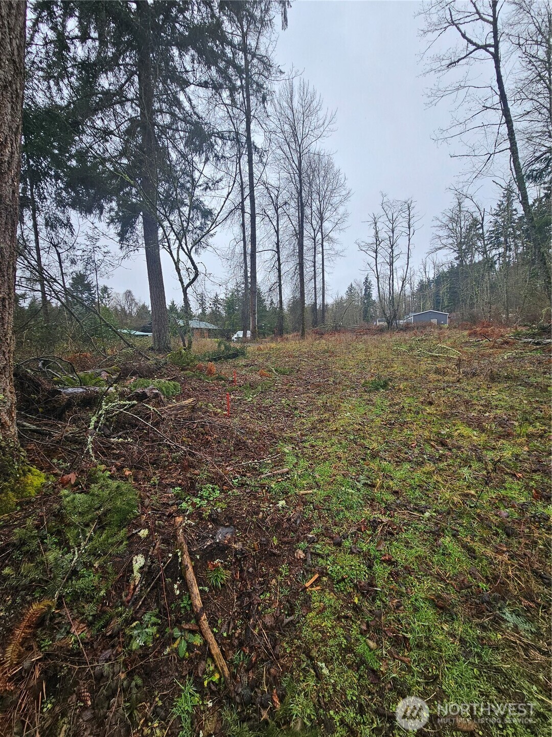 25933 96th Avenue East Graham, WA 98338 - Photo 4 of 7 a view of a field with trees