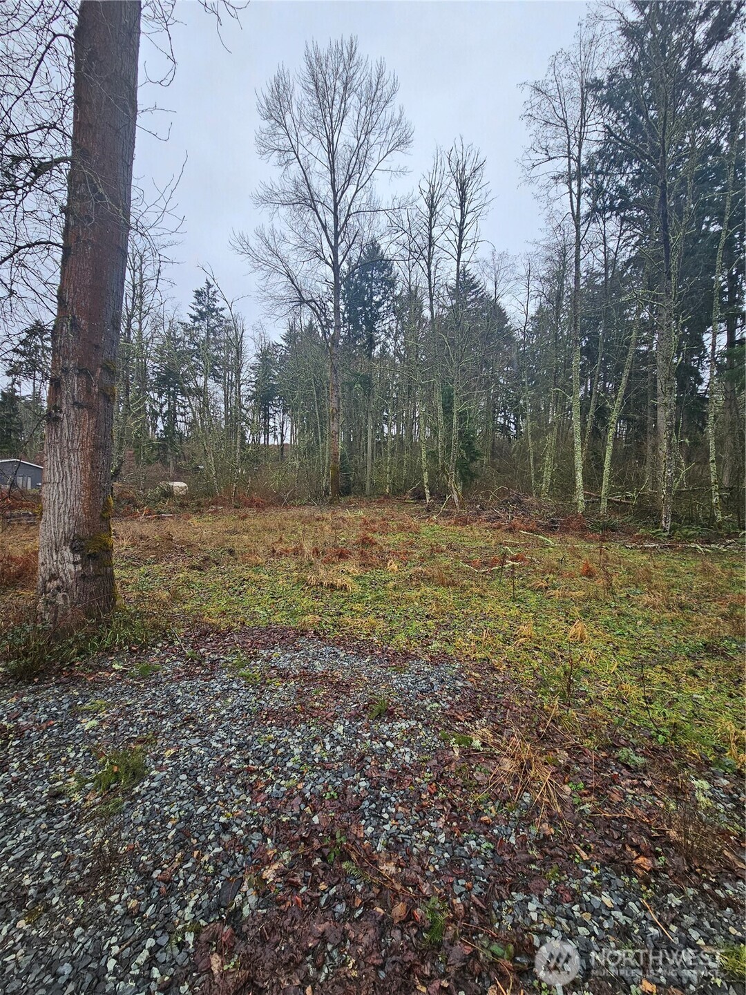 25933 96th Avenue East Graham, WA 98338 - Photo 6 of 7 a view of outdoor space with trees