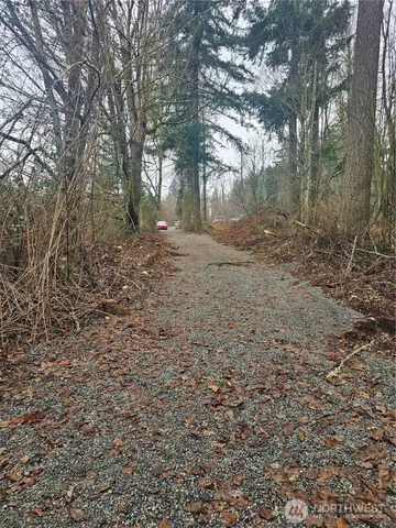 a view of a yard with trees