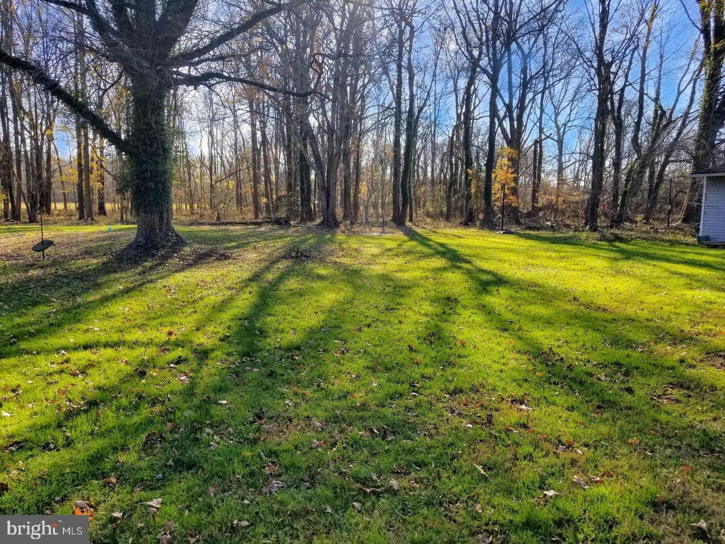 1435 Shadyrest Road Shady Side, MD 20764 - Photo 35 of 36 a view of yard with trees