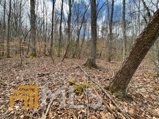 28 High Lance Road, Unit LOT 28 Morganton, GA 30560 - Photo 1 of 1 Gallery Image 1