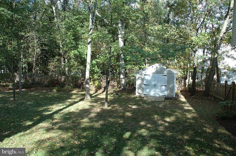 Back yard