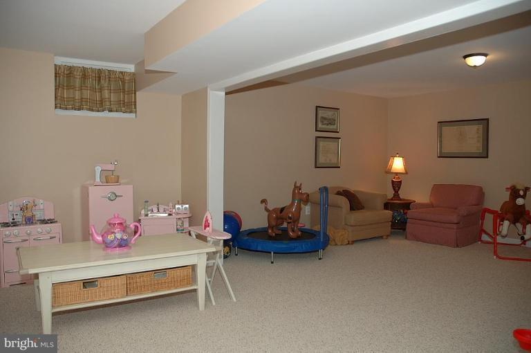 6502 White Post Road Centreville, VA 20121 - Photo 10 of 12 Finished Lower Level