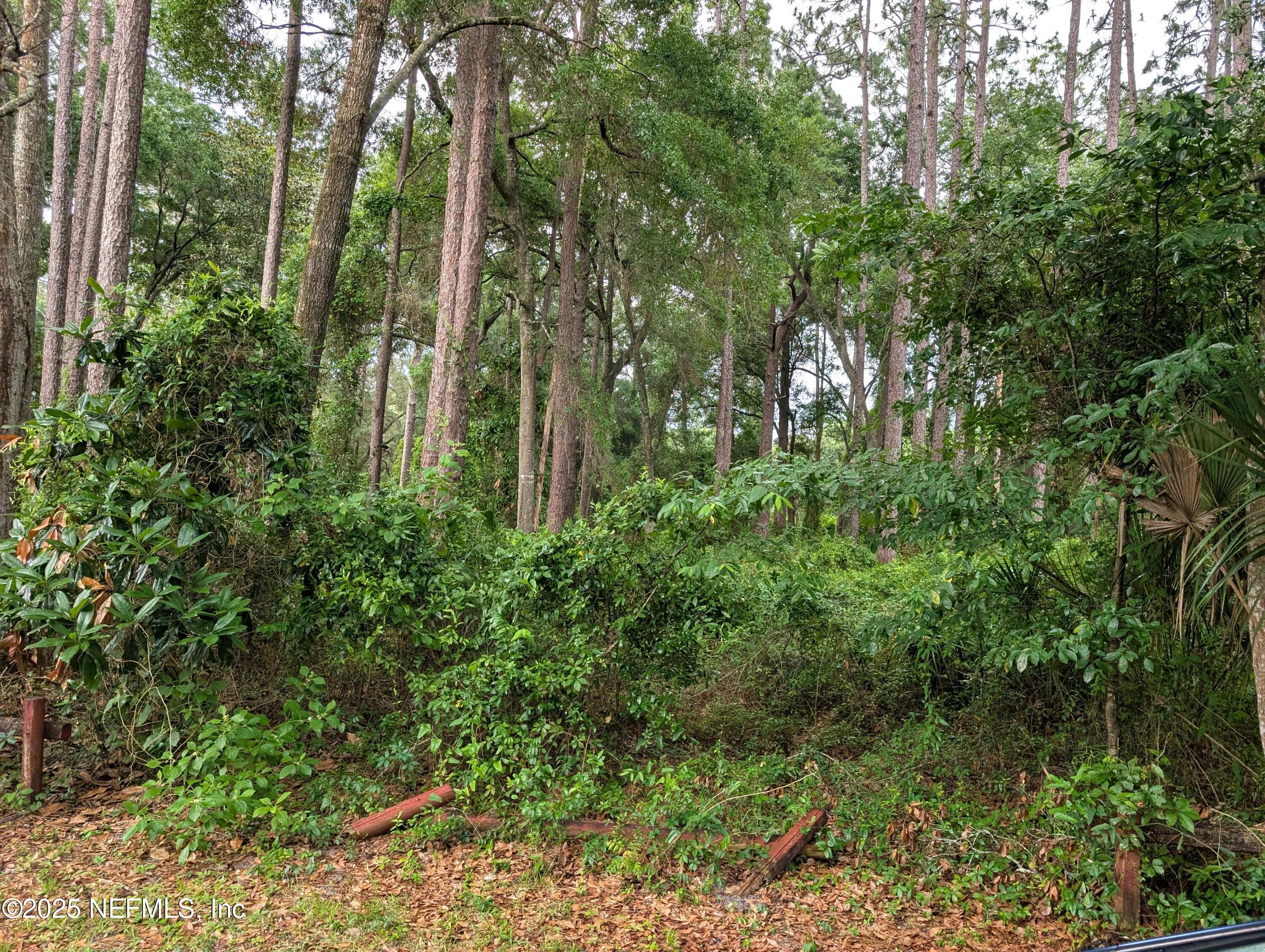 6218 Emory Avenue Keystone Heights, FL 32656 - Photo 3 of 7 a view of a garden with plants and trees