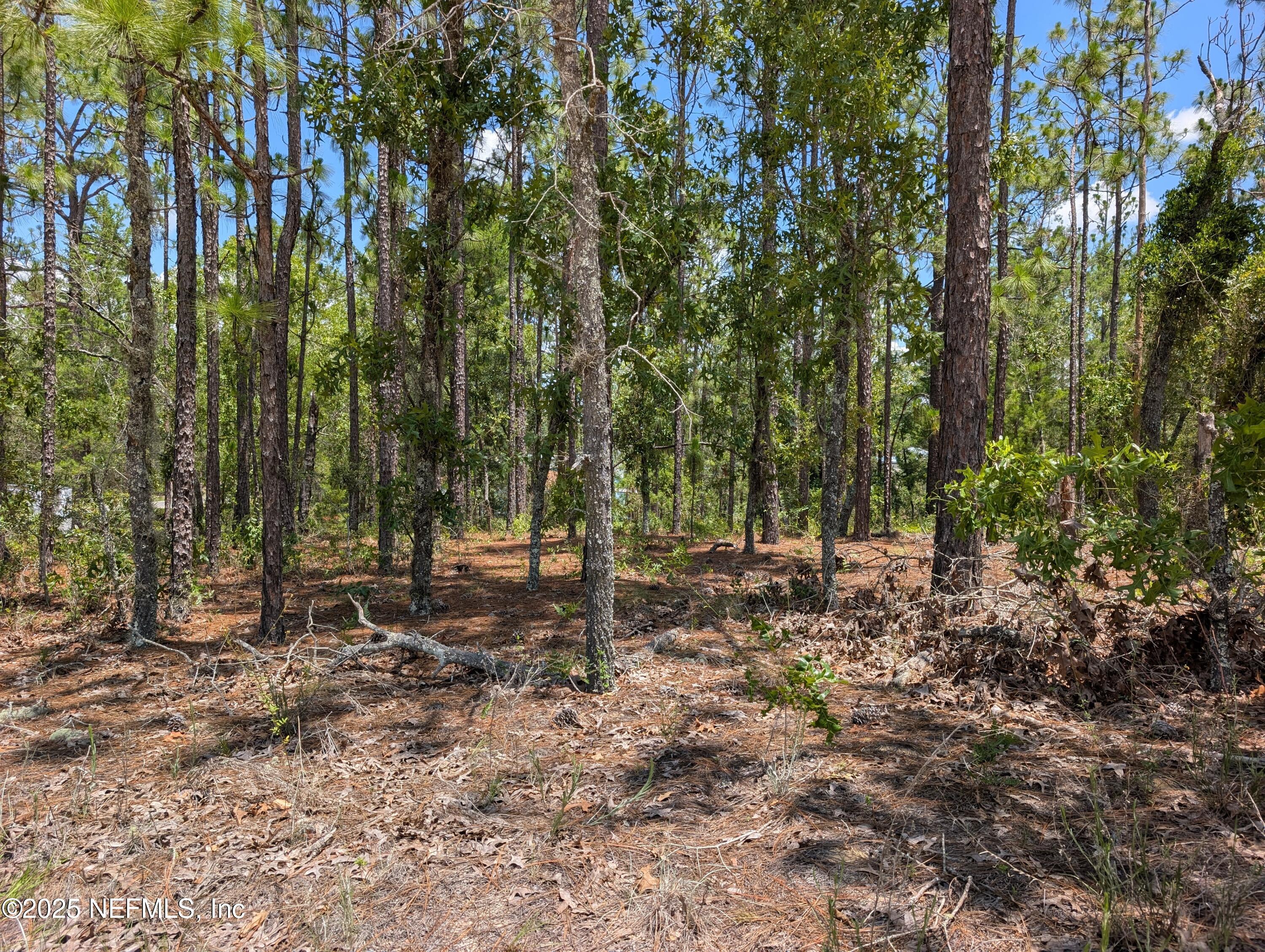 6218 Emory Avenue Keystone Heights, FL 32656 - Photo 4 of 7 a backyard of a house with lots of green space