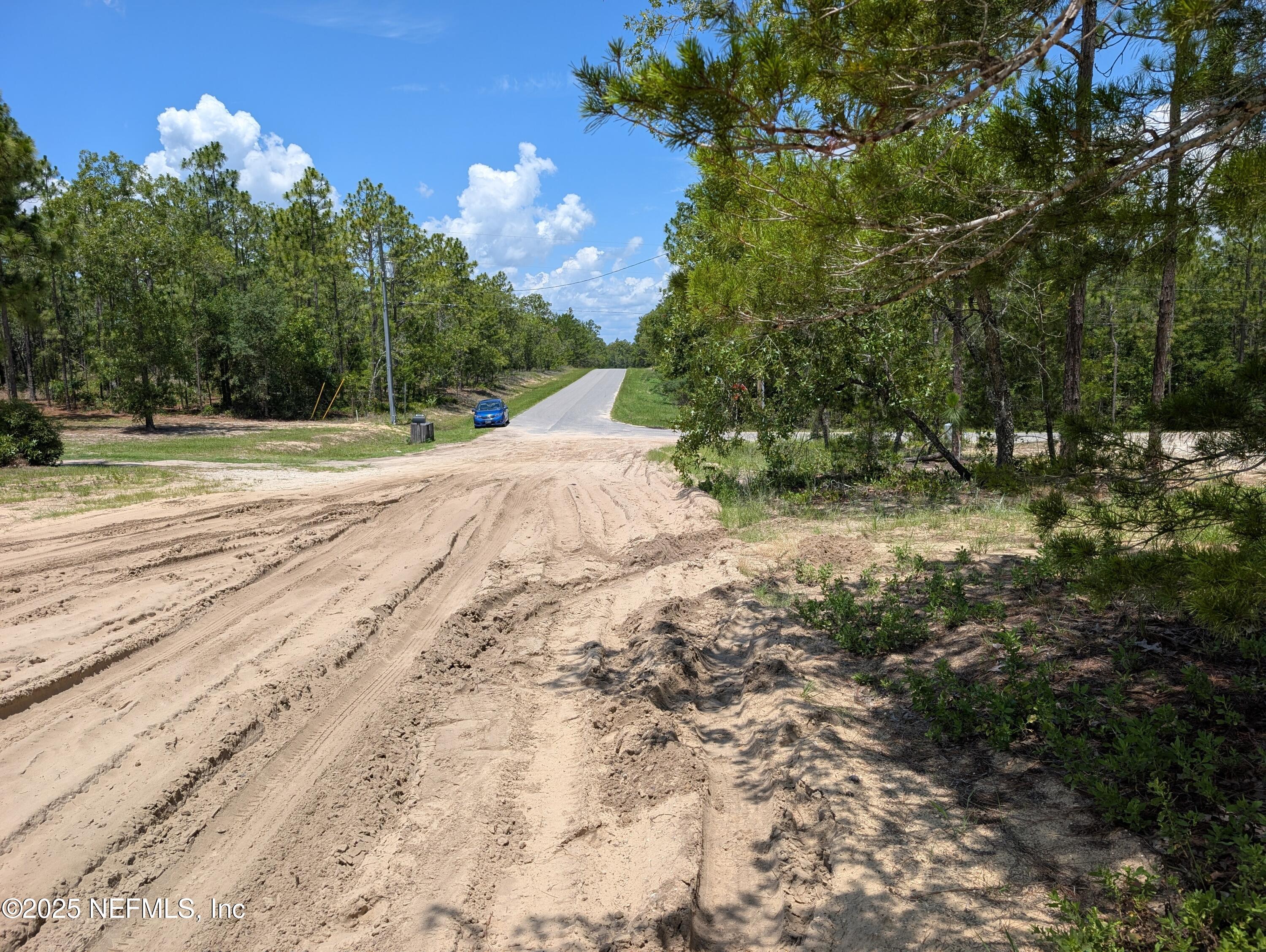 6218 Emory Avenue Keystone Heights, FL 32656 - Photo 7 of 7 a view of a backyard of the house