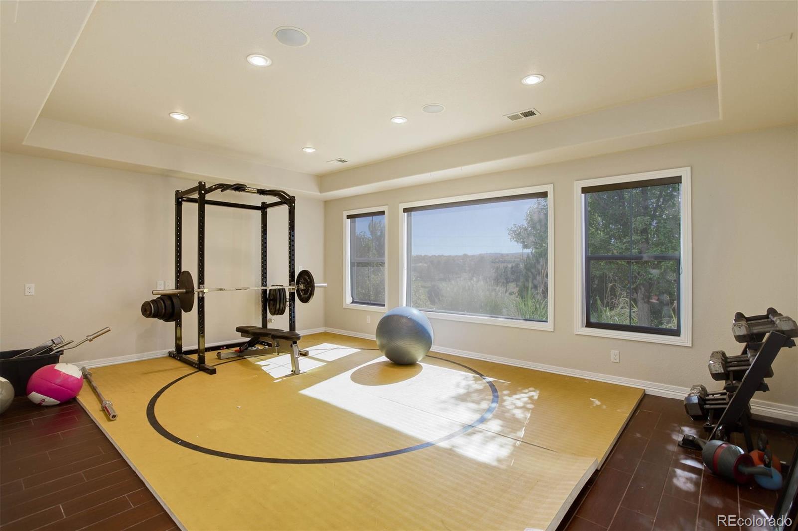 2702 Stonecrest Point Highlands Ranch, CO 80129 - Photo 40 of 44 Gallery Image 40
