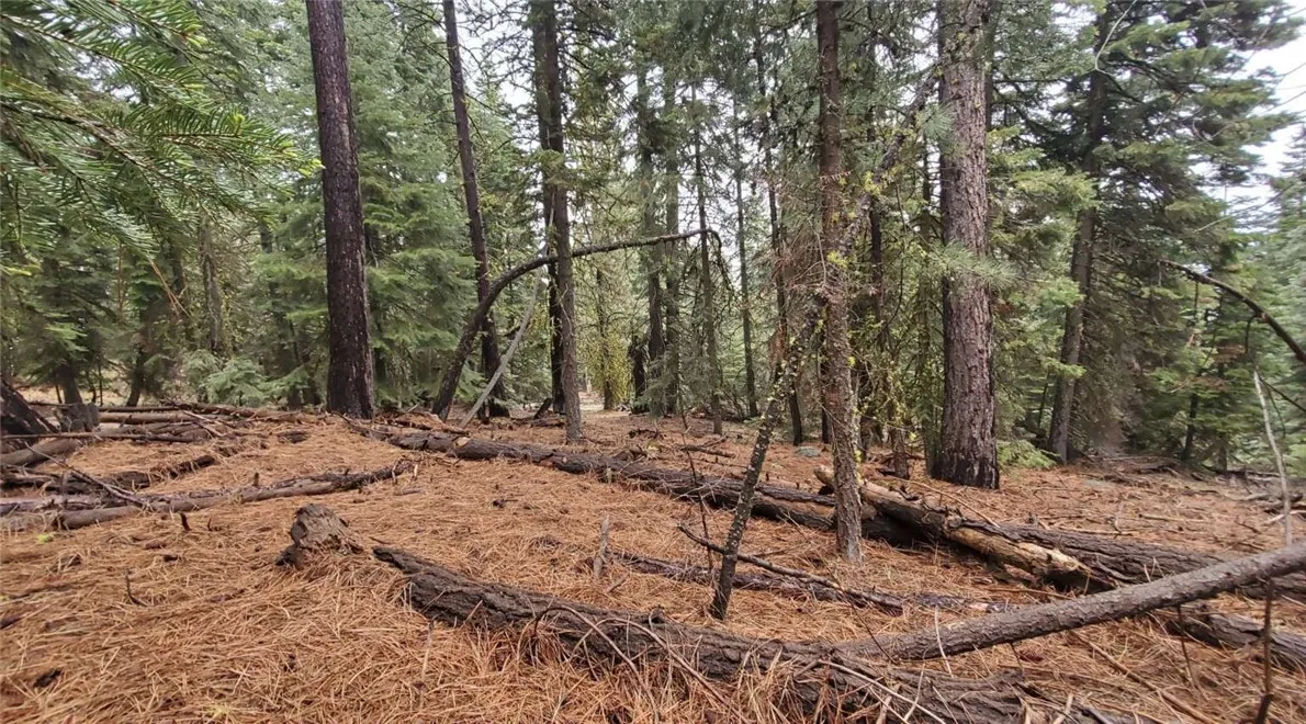 0 Range Alturas, CA 96101 - Photo 21 of 39 Gallery Image 21