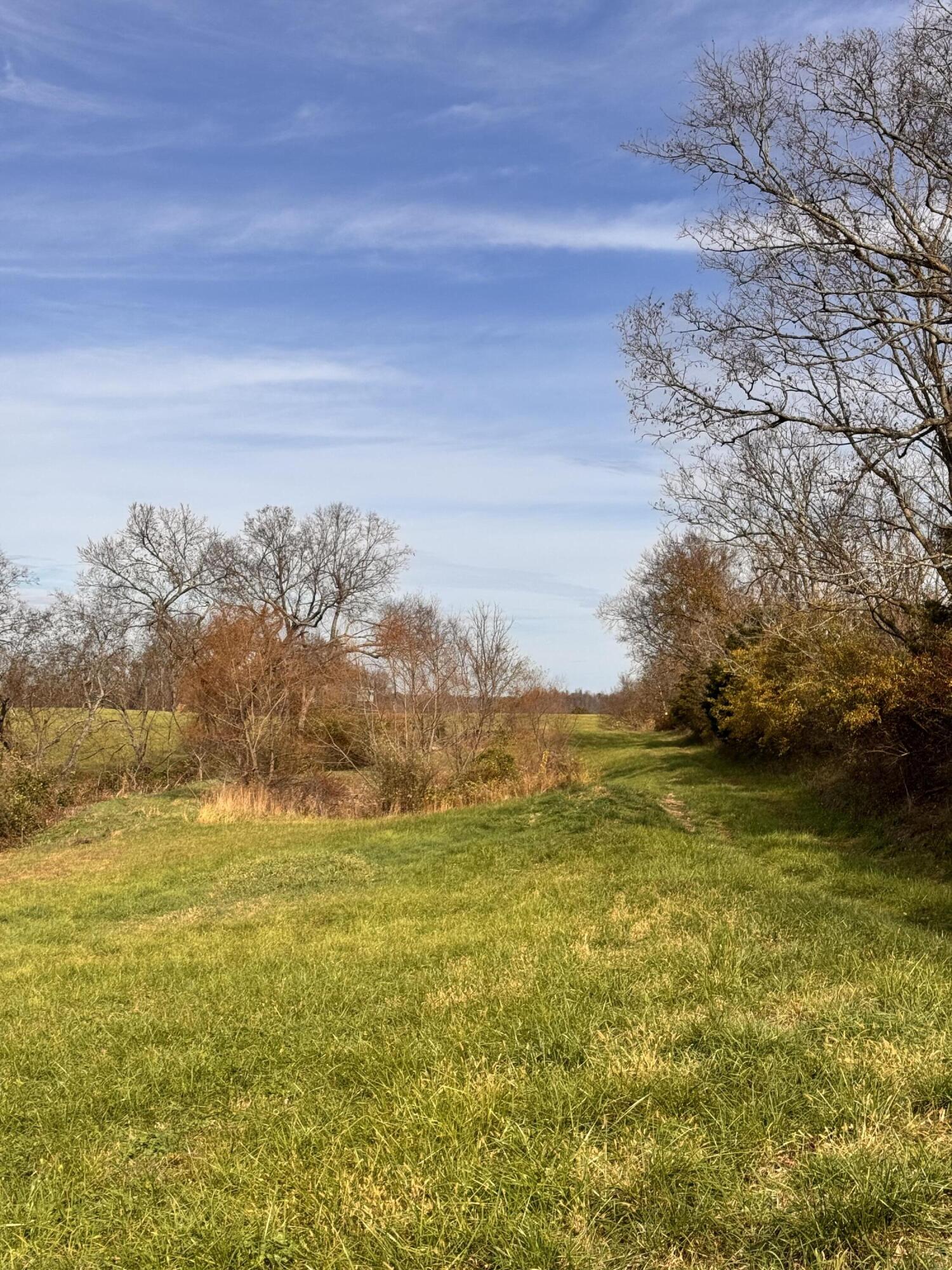 0 Bethel Road Lancaster, KY 40444 - Photo 4 of 19 IMG_8501