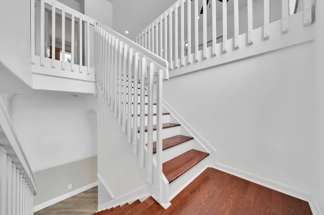 a view of a garden with plants