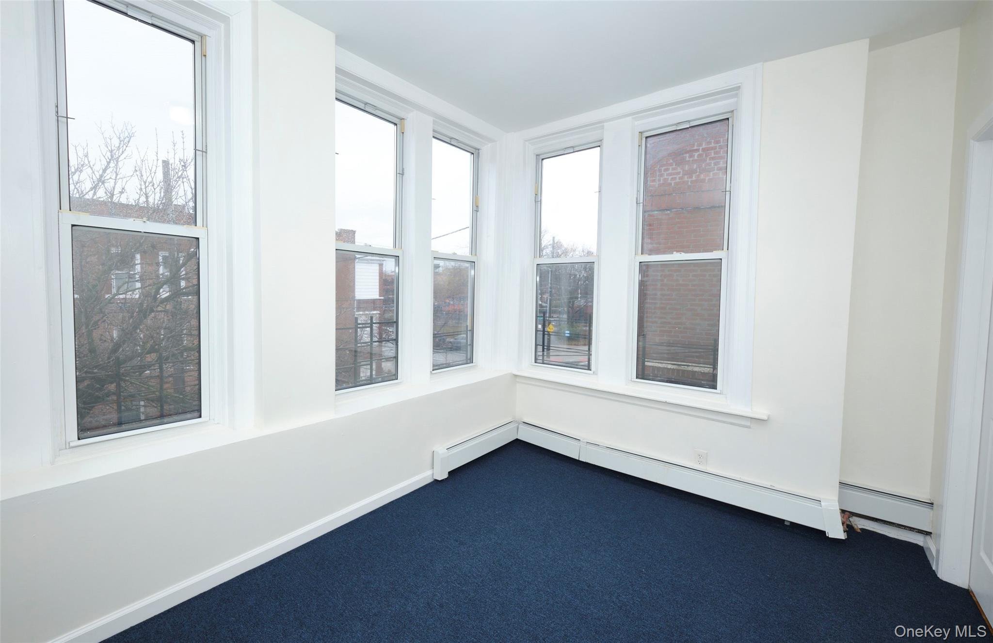 563 Miller Avenue Brooklyn, NY 11207 - Photo 19 of 21 Unfurnished sunroom featuring a baseboard radiator and carpet flooring