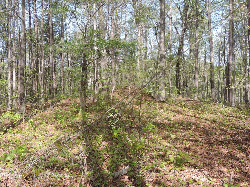 500 Inlet Drive Seneca, SC 29672 - Photo 3 of 6 Gallery Image 3