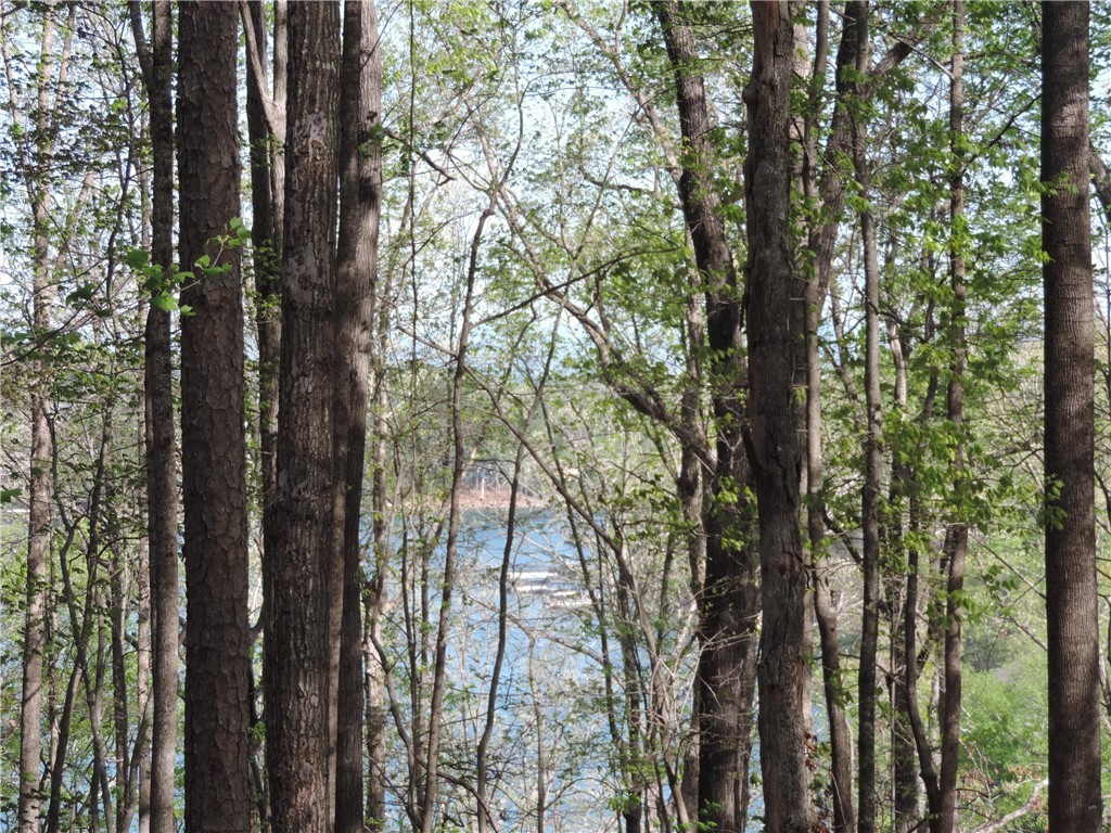 500 Inlet Drive Seneca, SC 29672 - Photo 5 of 6 Gallery Image 5