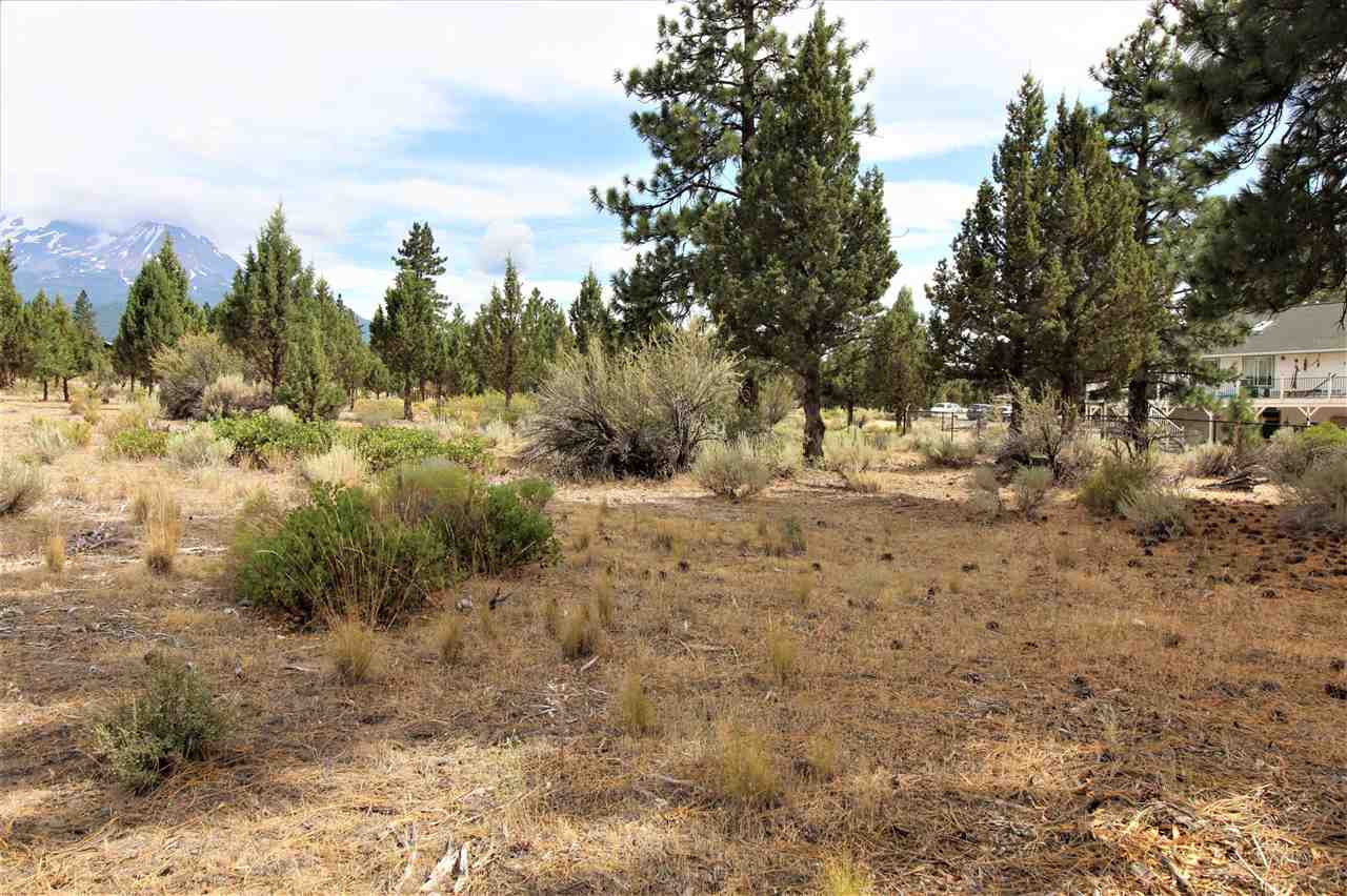 Lot 81 Archer Road Weed, CA 96094 - Photo 2 of 18 Gallery Image 2