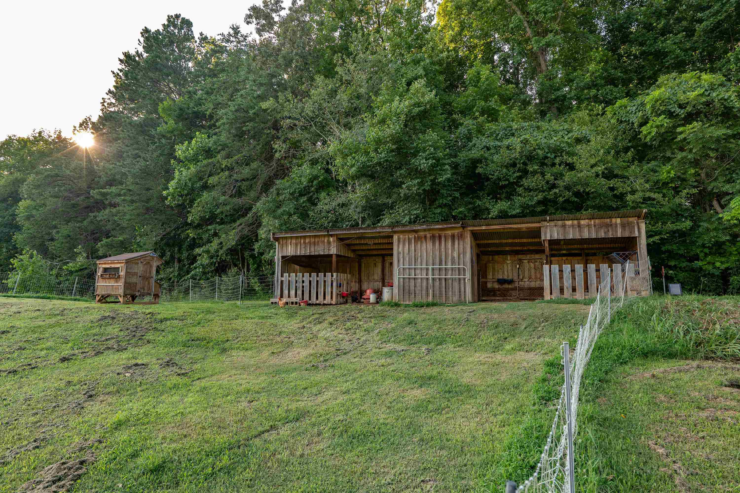5401 Nicks Road Mebane, NC 27302 - Photo 48 of 53 a view of a backyard with plants and large trees