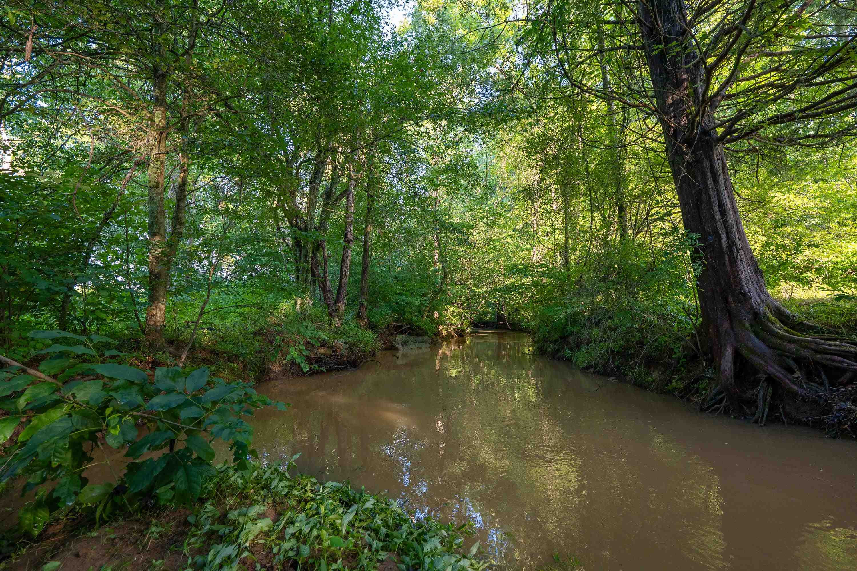 5401 Nicks Road Mebane, NC 27302 - Photo 53 of 53 a view of a lake with green forest